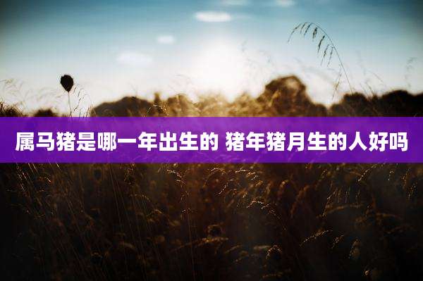 属马猪是哪一年出生的 猪年猪月生的人好吗