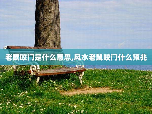 老鼠咬门是什么意思,风水老鼠咬门什么预兆
