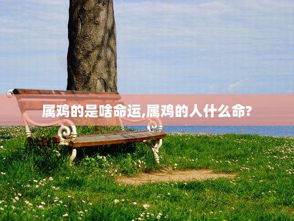 属鸡的是啥命运,属鸡的人什么命?