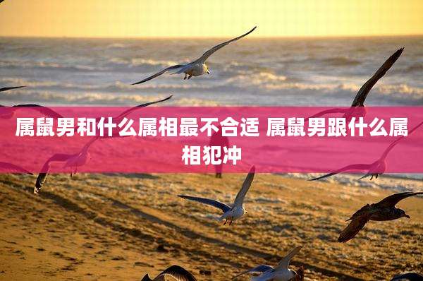 属鼠男和什么属相最不合适 属鼠男跟什么属相犯冲