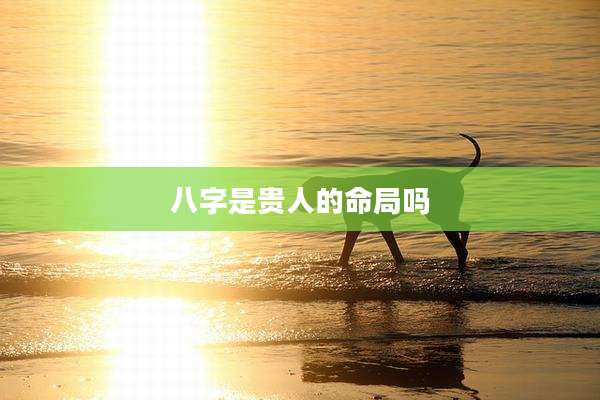 八字是贵人的命局吗