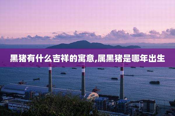 黑猪有什么吉祥的寓意,属黑猪是哪年出生