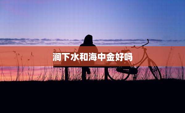 涧下水和海中金好吗