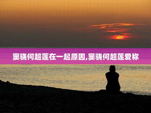 窦骁何超莲在一起原因,窦骁何超莲爱称