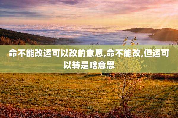 命不能改运可以改的意思,命不能改,但运可以转是啥意思