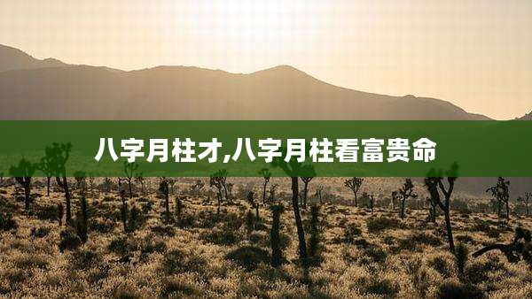 八字月柱才,八字月柱看富贵命