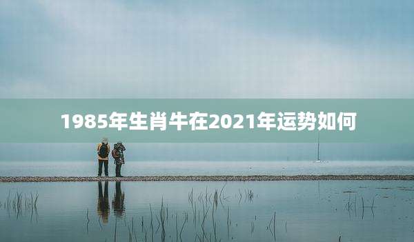 1985年生肖牛在2021年运势如何
