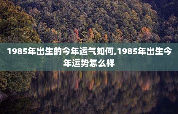 1985年出生的今年运气如何,1985年出生今年运势怎么样
