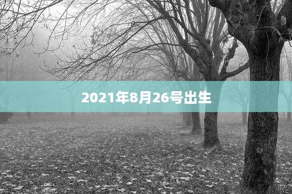2021年8月26号出生