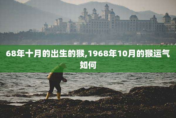 68年十月的出生的猴,1968年10月的猴运气如何