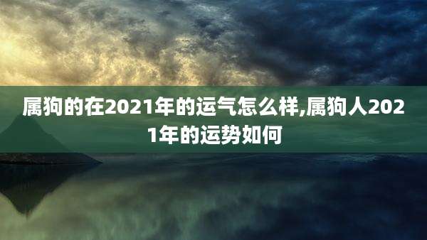 属狗的在2021年的运气怎么样,属狗人2021年的运势如何