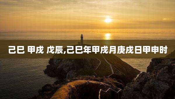 己巳 甲戌 戊辰,己巳年甲戌月庚戌日甲申时