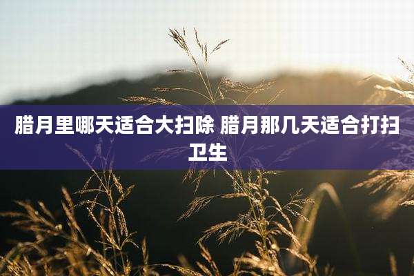 腊月里哪天适合大扫除 腊月那几天适合打扫卫生
