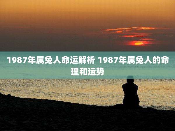 1987年属兔人命运解析 1987年属兔人的命理和运势