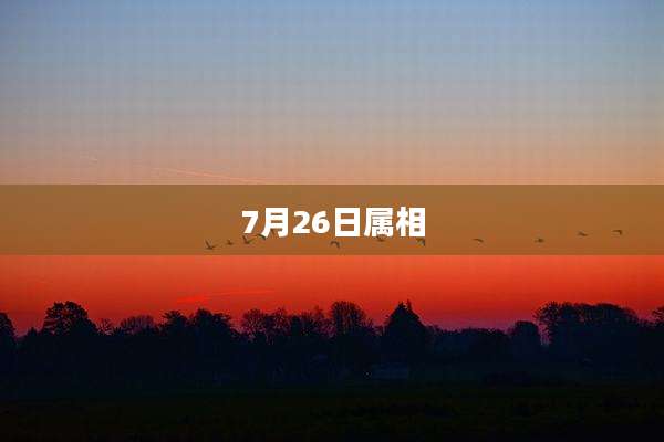 7月26日属相