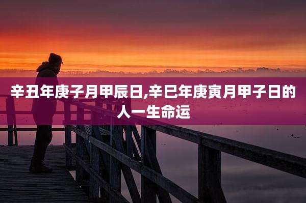 辛丑年庚子月甲辰日,辛巳年庚寅月甲子日的人一生命运