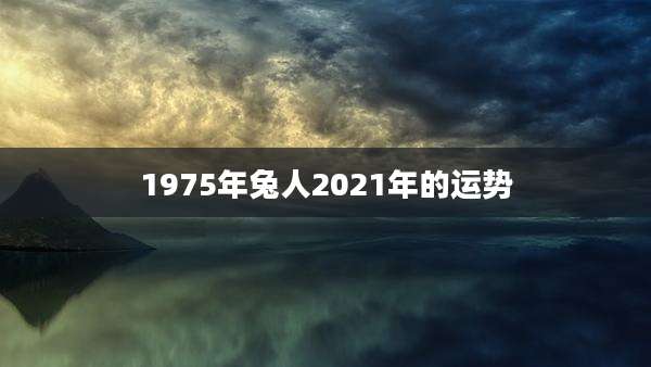 1975年兔人2021年的运势