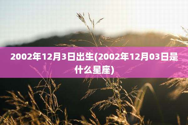 2002年12月3日出生(2002年12月03日是什么星座)