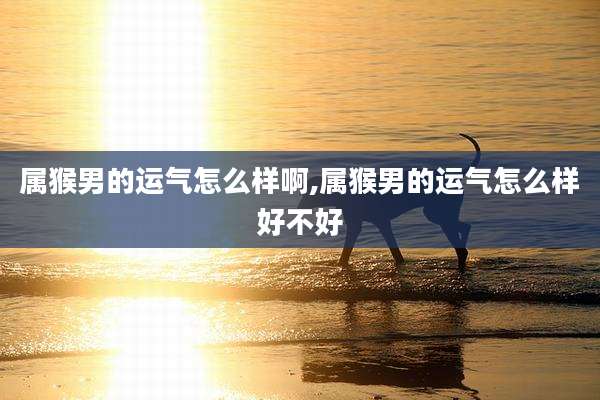 属猴男的运气怎么样啊,属猴男的运气怎么样好不好