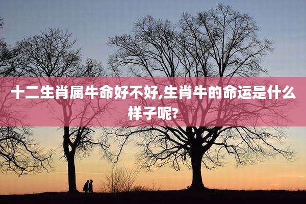 十二生肖属牛命好不好,生肖牛的命运是什么样子呢?