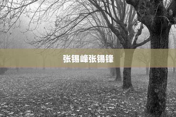 张锡峰张锡锋