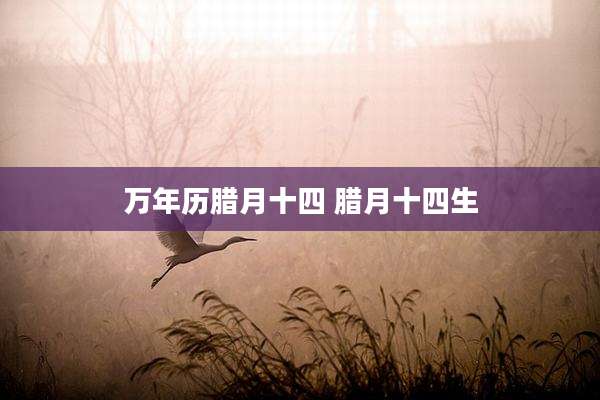 万年历腊月十四 腊月十四生