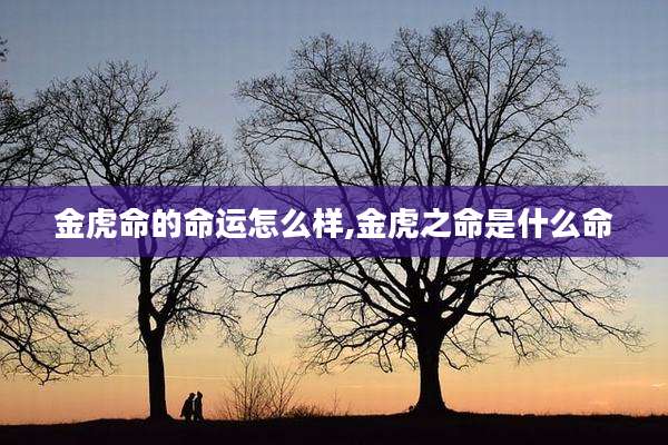 金虎命的命运怎么样,金虎之命是什么命