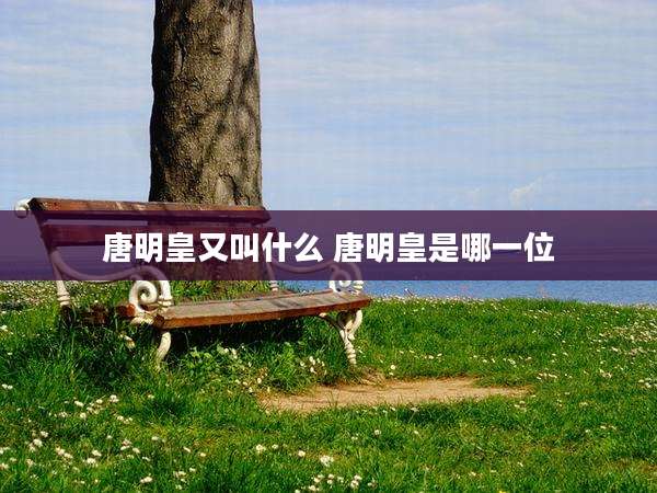 唐明皇又叫什么 唐明皇是哪一位