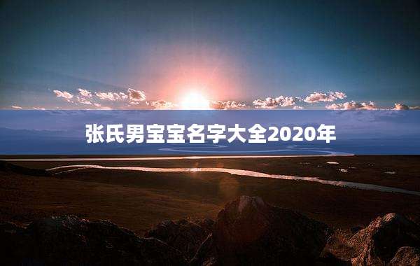张氏男宝宝名字大全2020年