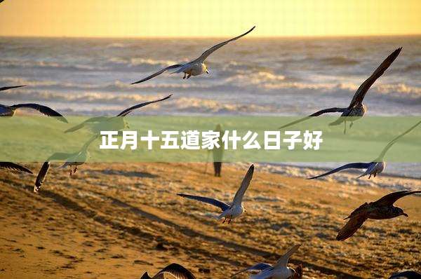 正月十五道家什么日子好