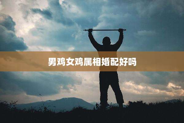 男鸡女鸡属相婚配好吗