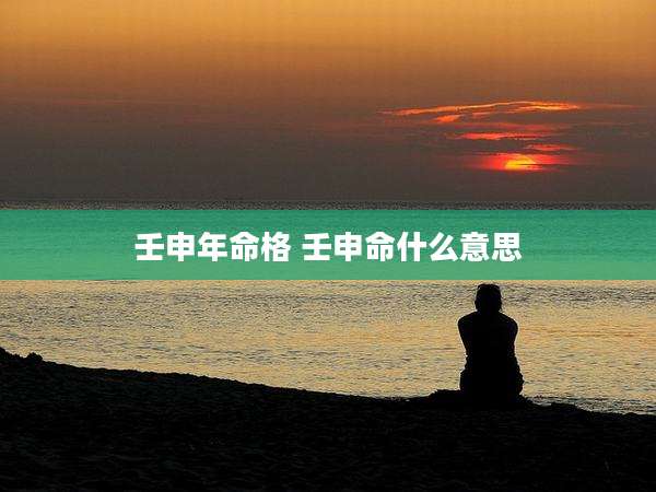 壬申年命格 壬申命什么意思