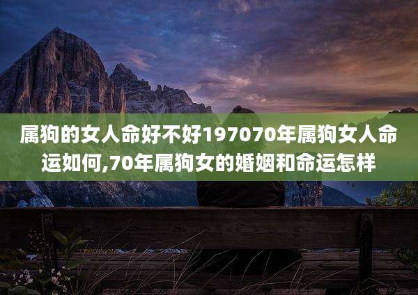 属狗的女人命好不好197070年属狗女人命运如何,70年属狗女的婚姻和命运怎样