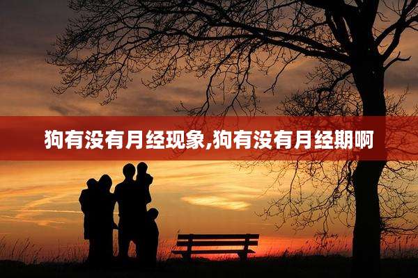 狗有没有月经现象,狗有没有月经期啊