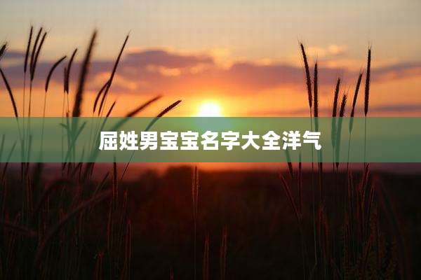 屈姓男宝宝名字大全洋气