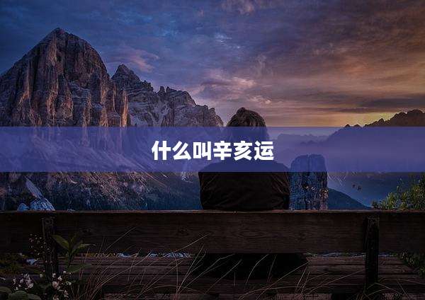 什么叫辛亥运