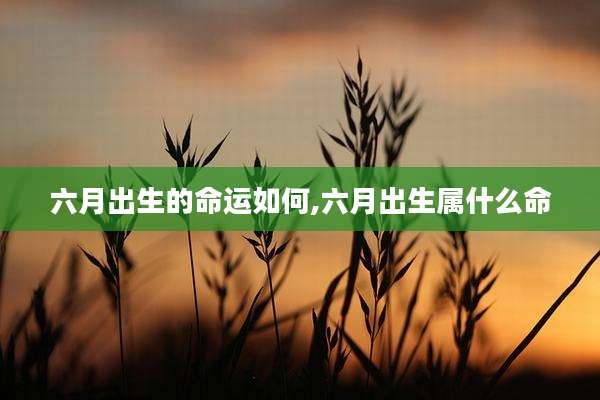 六月出生的命运如何,六月出生属什么命