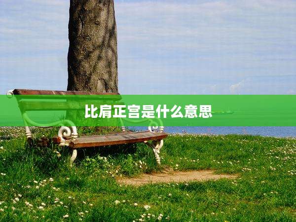 比肩正宫是什么意思