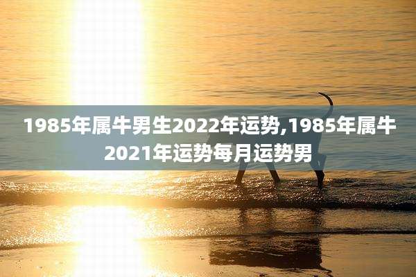 1985年属牛男生2022年运势,1985年属牛2021年运势每月运势男