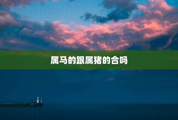 属马的跟属猪的合吗