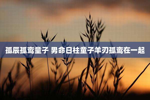 孤辰孤鸾童子 男命日柱童子羊刃孤鸾在一起