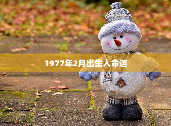 1977年2月出生人命运