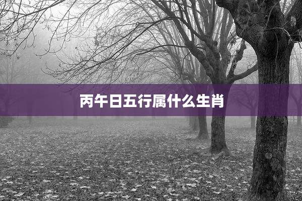 丙午日五行属什么生肖