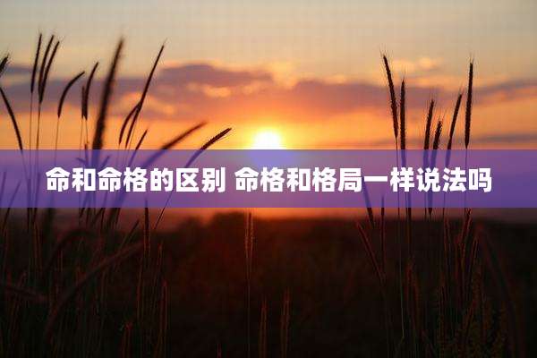 命和命格的区别 命格和格局一样说法吗