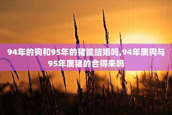 94年的狗和95年的猪能结婚吗,94年属狗与95年属猪的合得来吗