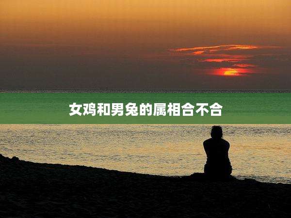 女鸡和男兔的属相合不合