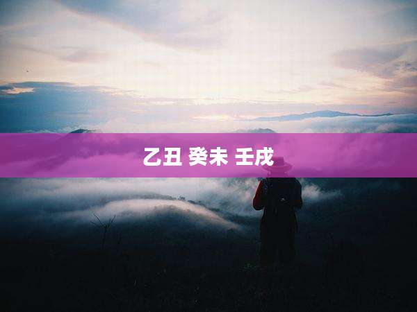 乙丑 癸未 壬戌
