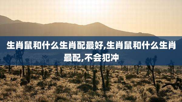 生肖鼠和什么生肖配最好,生肖鼠和什么生肖最配,不会犯冲