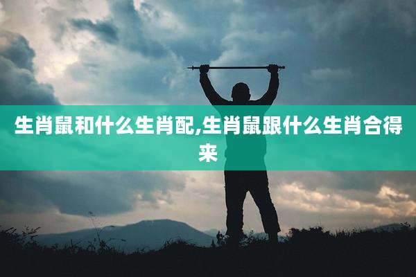 生肖鼠和什么生肖配,生肖鼠跟什么生肖合得来