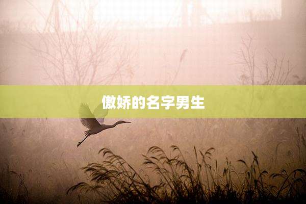 傲娇的名字男生